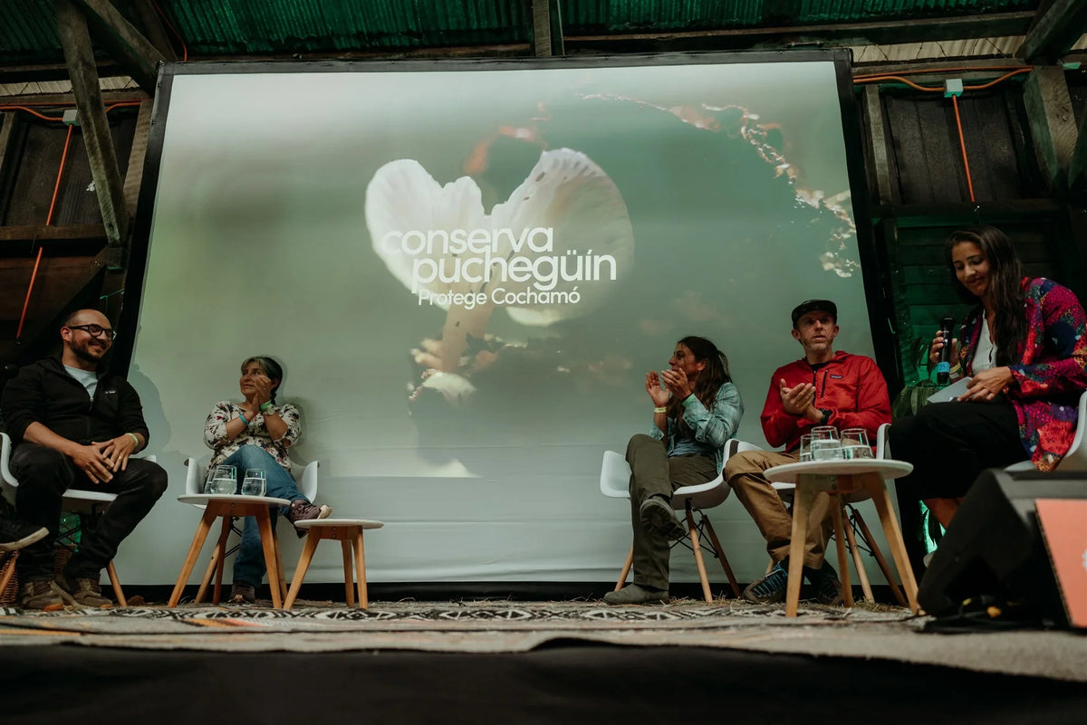 Panel Conserva Puchegüín