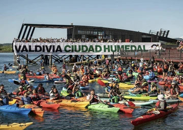 Conoce a quienes apoyamos