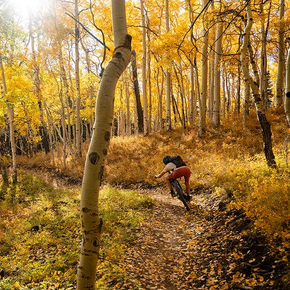 Equipamiento Mountain Bike