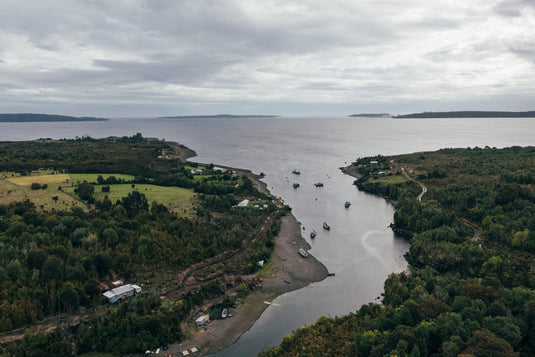 Tánana Pictures
