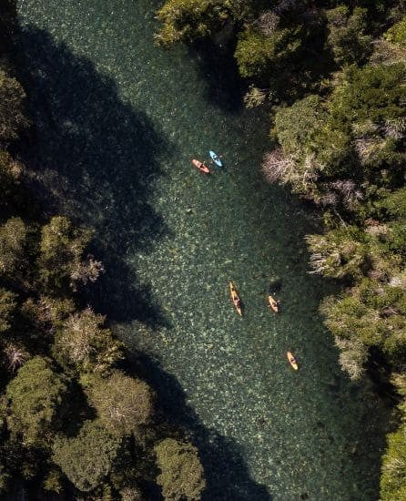 Bestias del Sur Salvaje